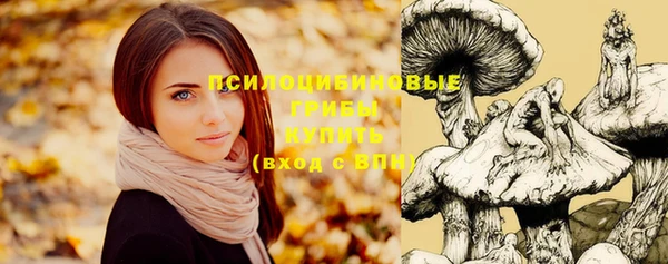 прущие грибы Алексин