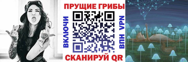 Галлюциногенные грибы Psilocybe Южно-Сухокумск