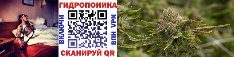 МАРИХУАНА OG Kush  Южно-Сухокумск 